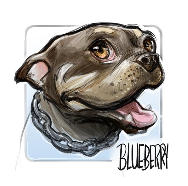 Colorado Caricature Artists