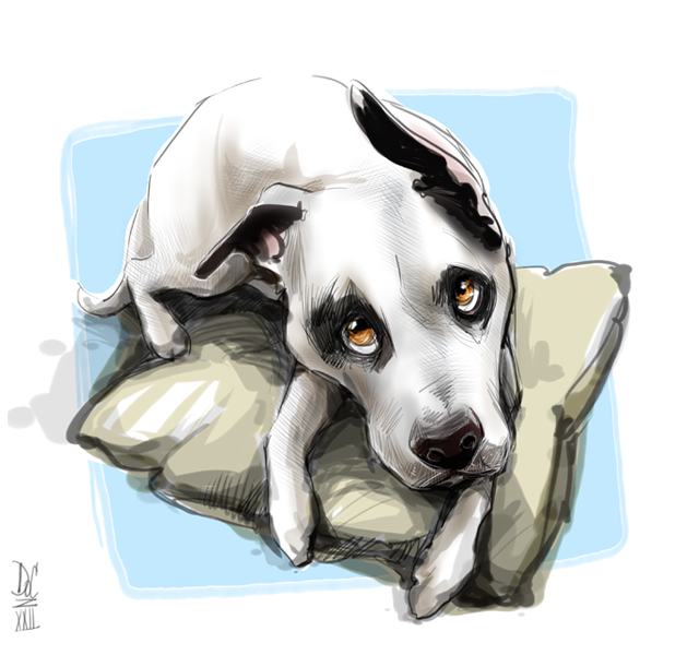 Colorado Caricature Artists