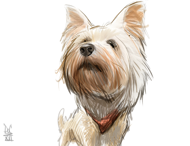 Colorado Caricature Artists